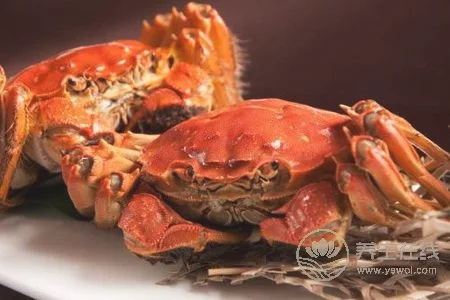 为什么秋分要吃蟹?吃螃蟹的禁忌有哪些?