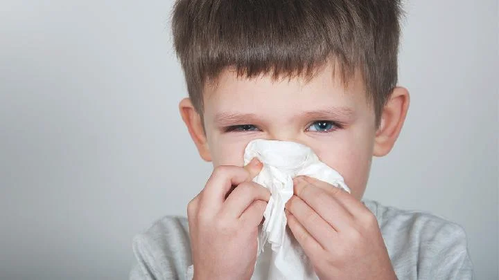 春天是过敏性鼻炎高发期 教你5招来预防鼻炎发作
