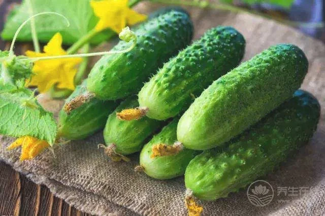 夏天吃黄瓜竟有这么多好处  可获十大营养功效