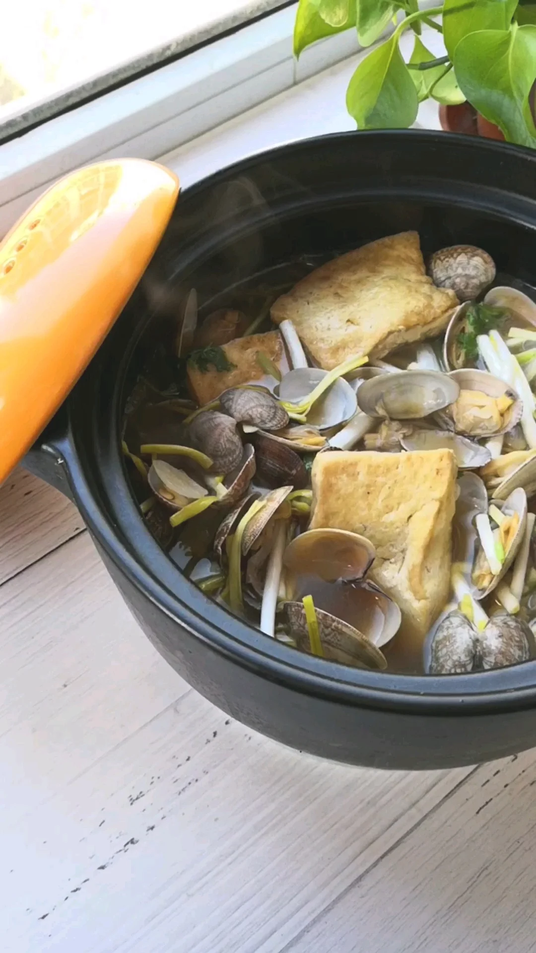 花蛤豆腐锅的做法-家常味炖菜谱