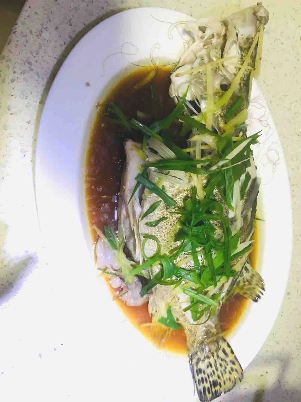 清蒸石斑鱼的做法-家常味蒸菜谱