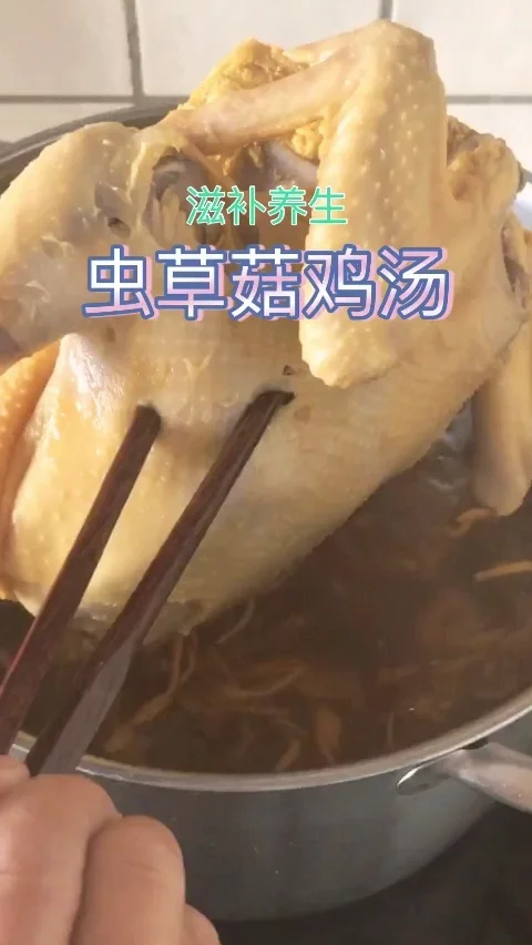 虫草菇鸡汤的做法-咸鲜味煮菜谱