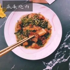 蕨菜烧肉的做法-咸鲜味烧菜谱
