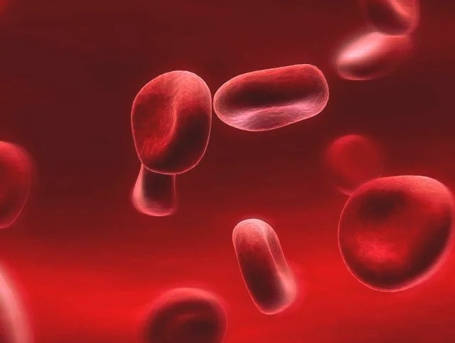 正常人体中血红蛋白的正常值范围