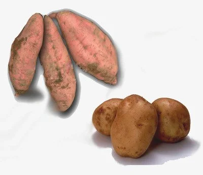 地瓜和土豆的区别以及他们的营养价值