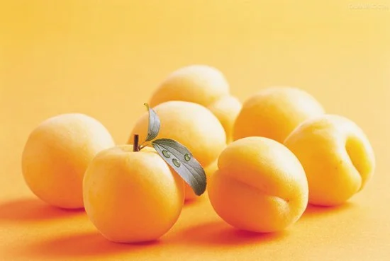 在女性的月经期间身体是否适合吃杏