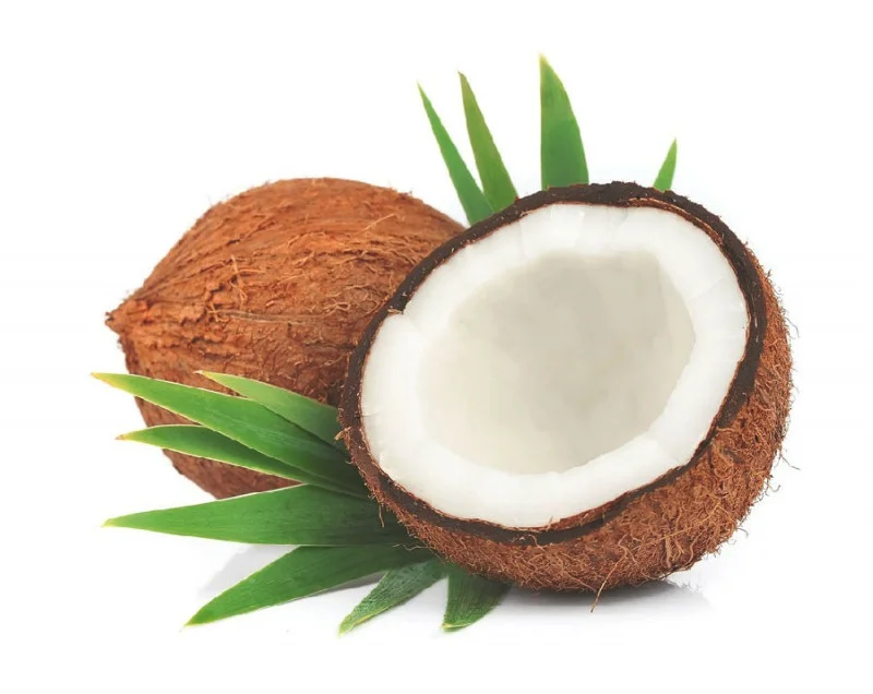 椰子的药用价值以及椰子中的营养物质