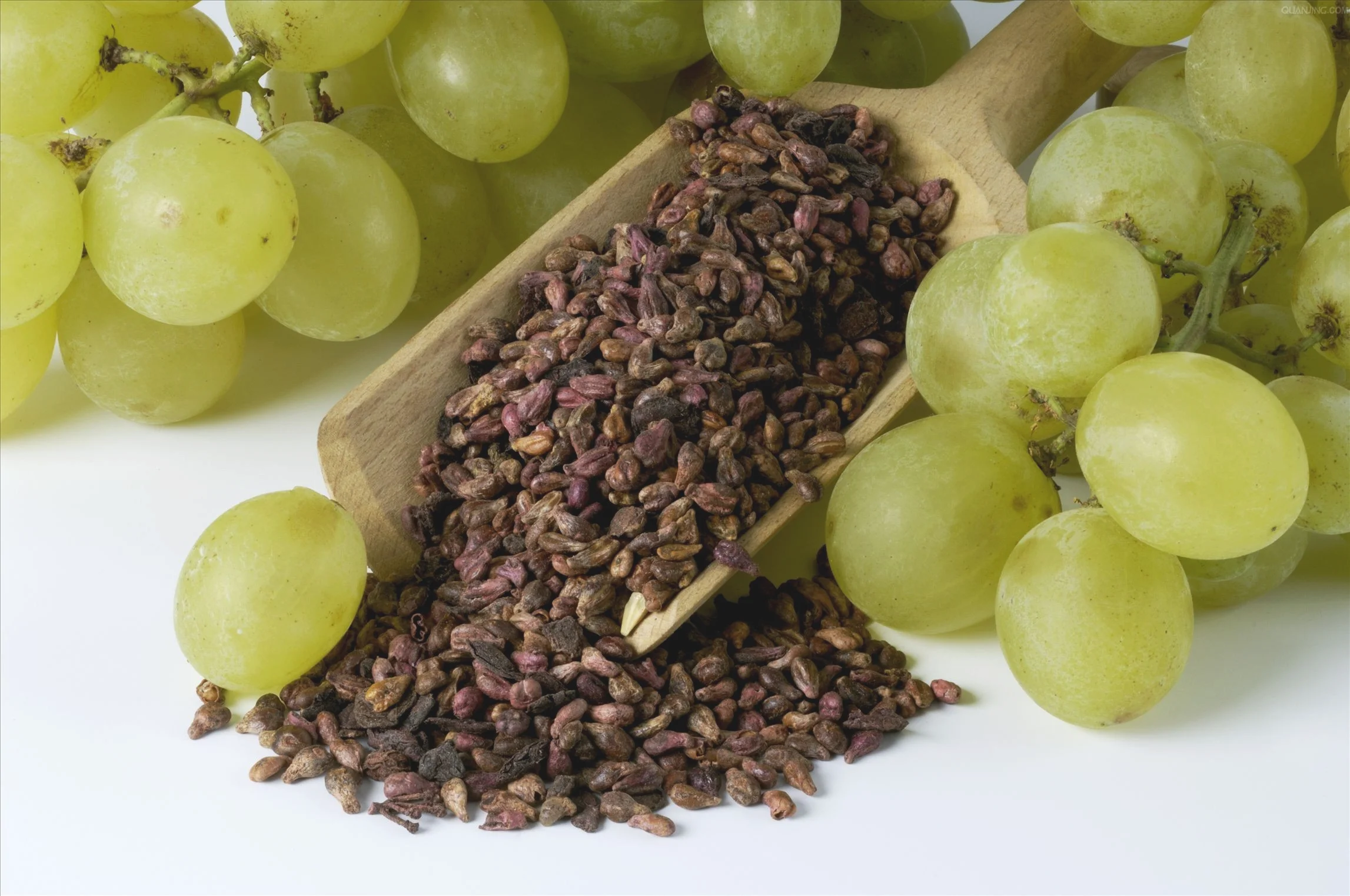 花青素和葡萄籽存在着哪些方面的区别