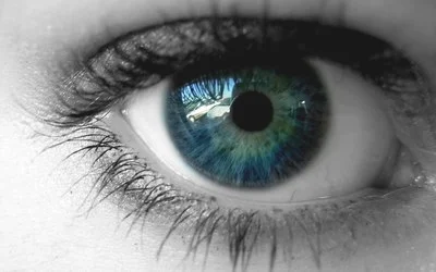 五种起到营养眼睛预防近视作用的美食