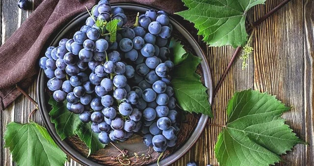 吃葡萄有什么好处和坏处 葡萄功效与作用及禁忌