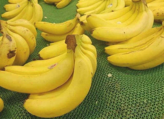 香蕉和芭蕉是同一种食物吗？便秘吃哪种？