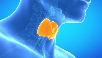 甲状腺结节为什么在一年时间恶化成癌
