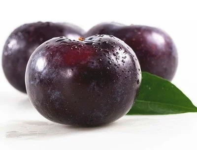黑布林这种水果是属于酸性还是碱性