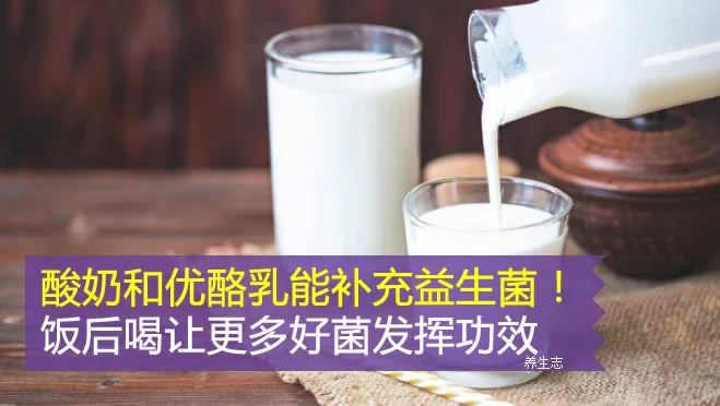 酸奶和优酪乳能补充益生菌！餐后喝让大量好菌发挥