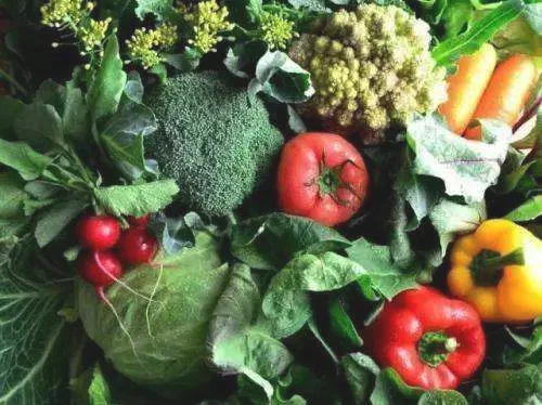 夏季吃哪些蔬菜能有效减肥？