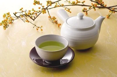 绿茶和菊花搭配喝对于身体有哪些好处