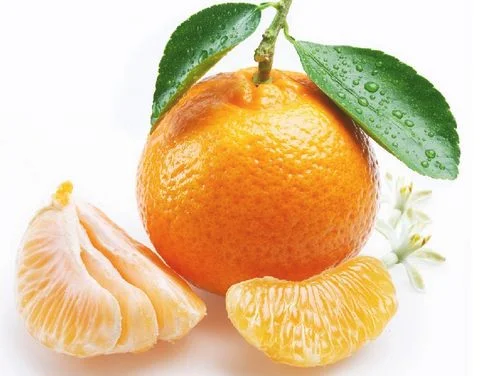 为什么吃多橘子会上火而吃柚子没事