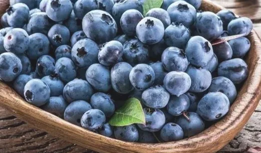 水果蓝莓中都含有哪一些营养物质