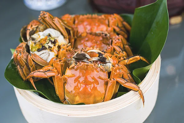 发烧感冒可以吃蟹吗