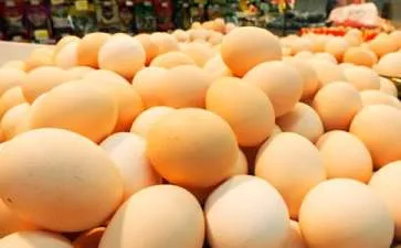 黄瓜鸡蛋减肥法的危害