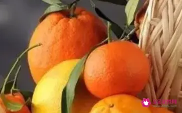 柑橘类水果能抑制肿瘤