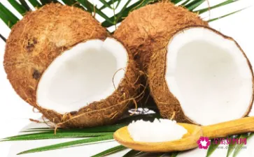 椰子的功效作用及食用方法