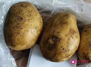 土豆怎么放才能保鲜