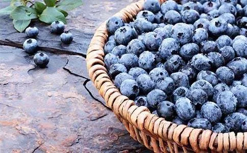 蓝莓果有什么功效