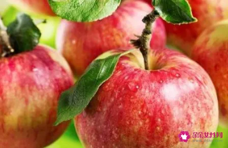 苹果的成分与营养价值