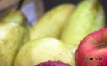 水果谜语：什么水果是瞎子？