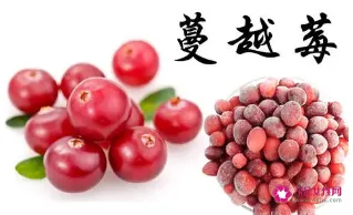 蔓越莓的功效与作用及食用方法
