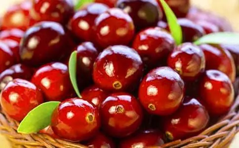 蔓越莓的营养价值