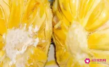菠萝蜜的功效与作用禁忌食用方法
