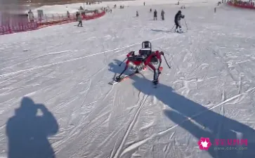 上海交大研发出六足双板滑雪机器人