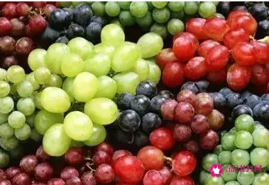葡萄的功效与作用营养价值