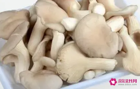 孕妇能吃凤尾菇吗