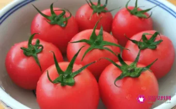 番茄的饮食方法及存储技巧