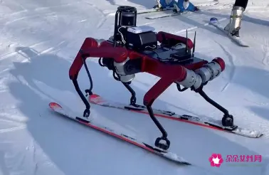 上海交大自主研发滑雪机器人，可自主“过人”