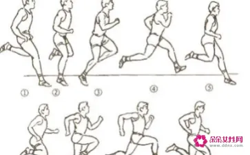 慢跑跑步姿势的正确方法
