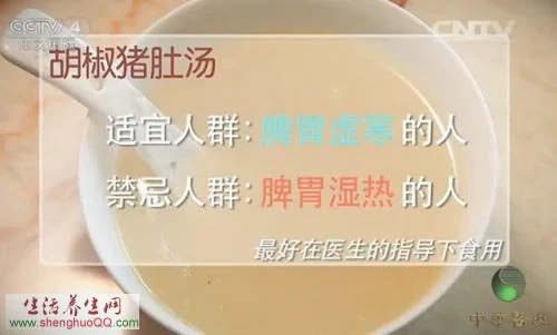 中华医药20150722中医阳气,胡椒猪肚汤