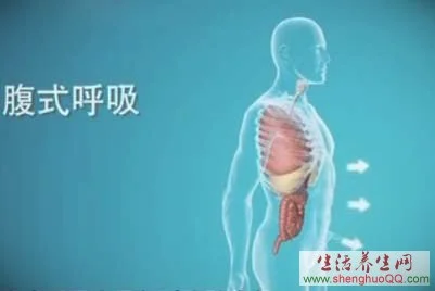 中华医药20140730腹式呼吸的奥秘