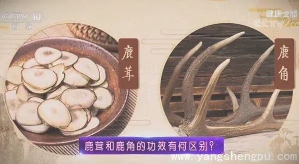健康之路20190304二仙膏,二仙茶,关元,三阴交