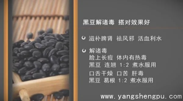 吴大真:黑豆,黄豆,黄豆烧水疙瘩,三鲜豆腐201607