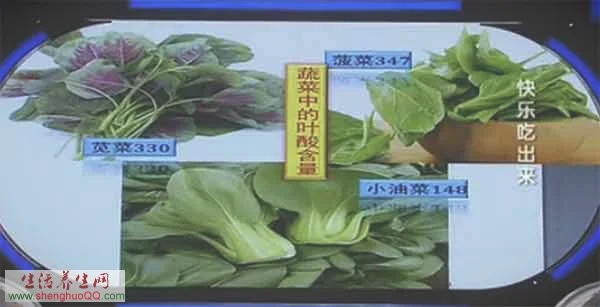 蔬菜中叶酸的含量