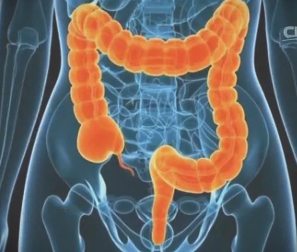 人体大肠形状图_大肠的位置
