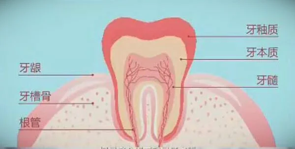 健康之路20171017胡涛:牙疼-如何正确剔牙-龋齿