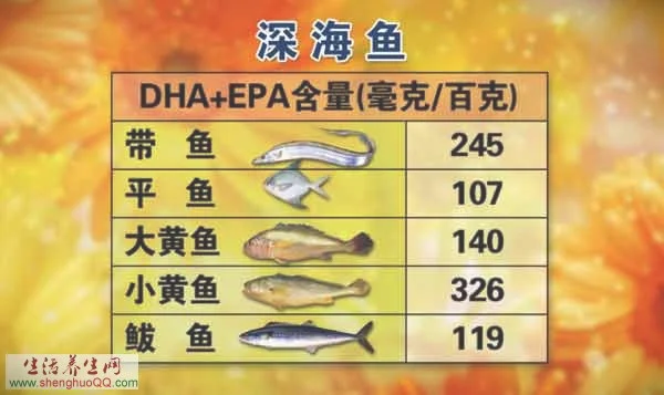 深海鱼类-Ω3脂肪酸-DHA-EPA_图片