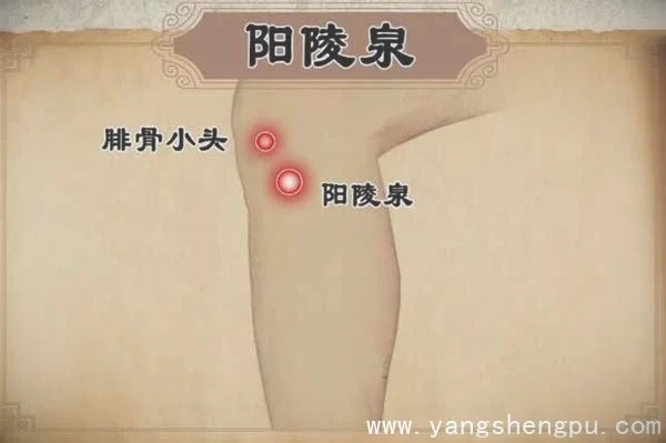 王泽民:乳腺增生,膻中穴,阳陵泉20200903健康之
