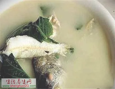 姜蒜鲢鱼汤