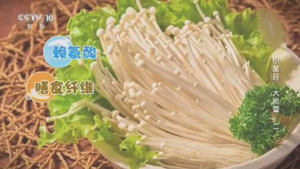 健康之路20180909史文丽,金针菇,杏鲍菇,猴头菇的作用